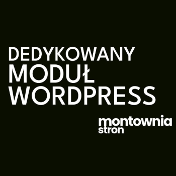 Ogłoszenie - Programista WordPress/WooCommerce - wtyczki na zamówienie | Szybka wycena - Kraków - 500,00 zł