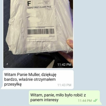 Ogłoszenie - ✨ TELEGRAMM (+4915219692792) waar te kopen DMT vape pen online, kopen DMT poeder