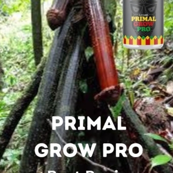 Ogłoszenie - Testimony About Herbal Penis Enlargement Products In St. Clement In Missouri Call ☏ +27710732372 - Rosja - 30 010,00 zł