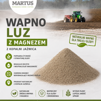 Ogłoszenie - Wapno węglanowe z magnezem z Kopalni Jaźwica