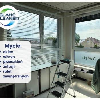 Ogłoszenie - Mycie okien i przeszkleń – Komorniki i okolice| Firmy | Domy - Poznań - 30,00 zł