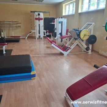 Ogłoszenie - Serwis siłowni,naprawa sprzętu fitness Warszawa Rehabilitacja Konstancin mazowieckie Platformy medyczne Galileo,Bieżnie - Mazowieckie - 1,00 zł