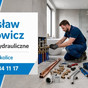 Ogłoszenie - Cieknący kran, zimny grzejnik czy zapchana kanalizacja w Poznaniu? Sadowicz pomoże - Poznań