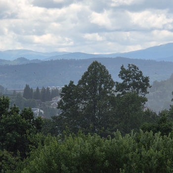 Ogłoszenie - Działka BUDOWLANA – 28 arów, Bieszczady, Bóbrka, k. SOLINA