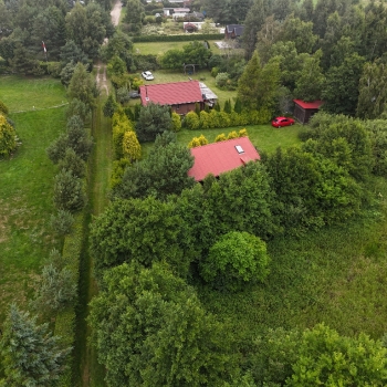Ogłoszenie - Syndyk sprzeda działkę Ostrowo Kolonia
