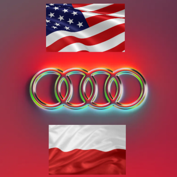Ogłoszenie - Konwersja USA na EU AUDI MMI - Sandomierz - 700,00 zł