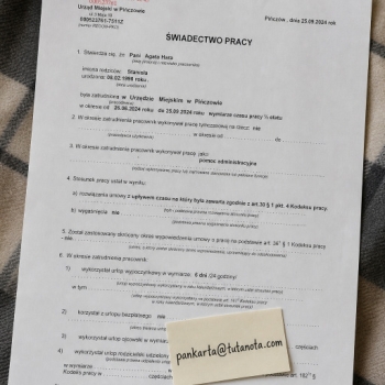 Ogłoszenie - Wykonanie dokumentów różnego typu - Małopolskie - 111,00 zł