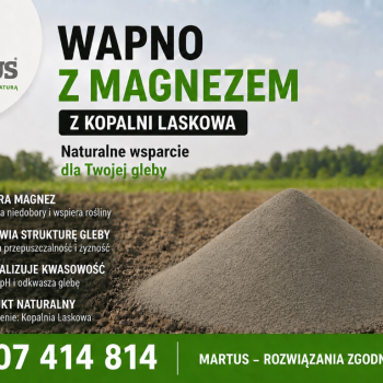 Ogłoszenie - Wapno węglanowe z magnezem z Kopalni Laskowa - Tomaszów Lubelski - 38,00 zł
