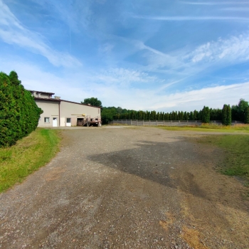 Ogłoszenie - syndyk sprzeda ubojnię - Wadowice - 4 775 555,00 zł