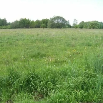 Ogłoszenie - Działka nad Bugiem