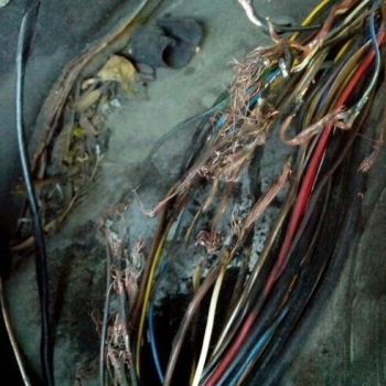 Ogłoszenie - Naprawa wiązek instalacji elektrycznych ciągników - Siedlce - 1,00 zł