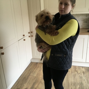 Ogłoszenie - Rasowe, malutkie szczenięta yorkshire terrier. Szczegóły na WhatsApp: +4917667652853