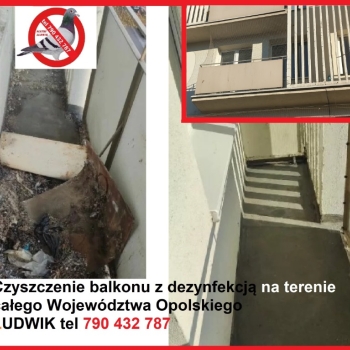 Ogłoszenie - Czyszczenie balkonu po gołębiach OPOLE
